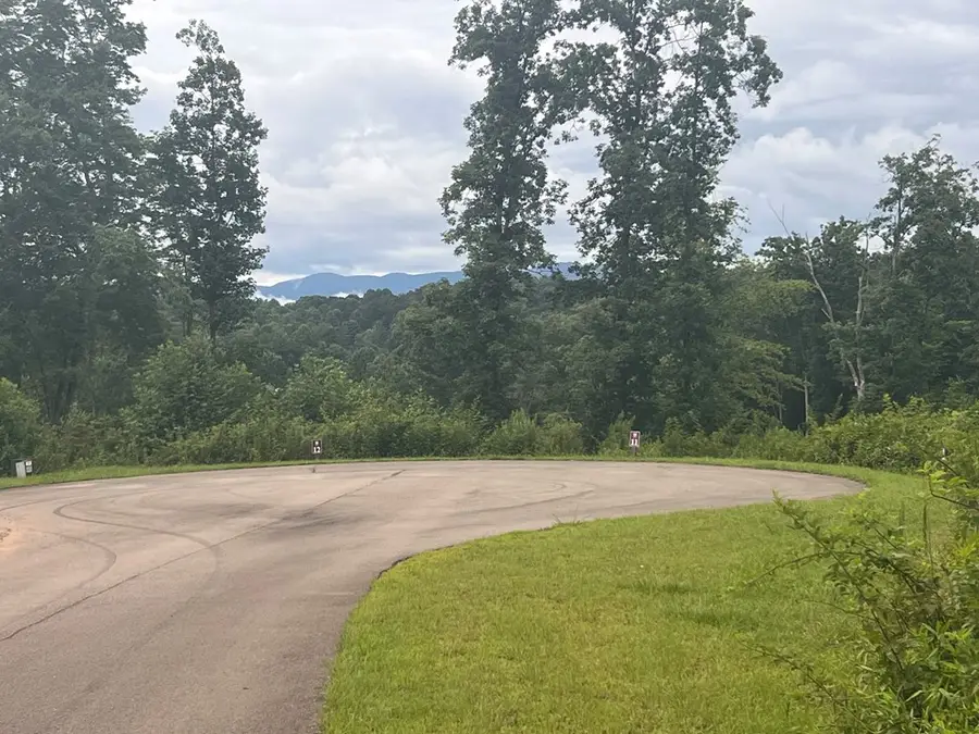 Lot 9 Mystic Dr, Ellijay, GA 30540 - #2