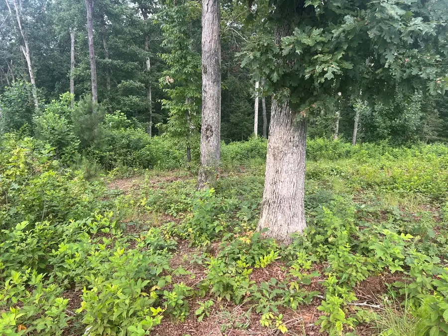Lot 9 Mystic Dr, Ellijay, GA 30540 - #3