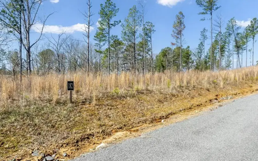 182 Vista Creek Drive, Talking Rock, GA 30175 - #2