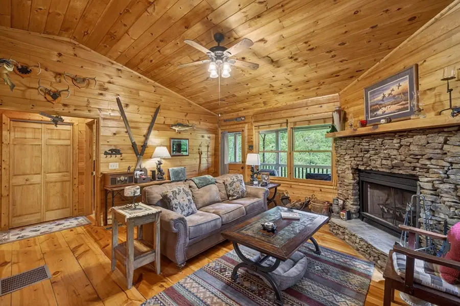 203 Mountain View Drive, Cherry Log, GA 30522 - #3