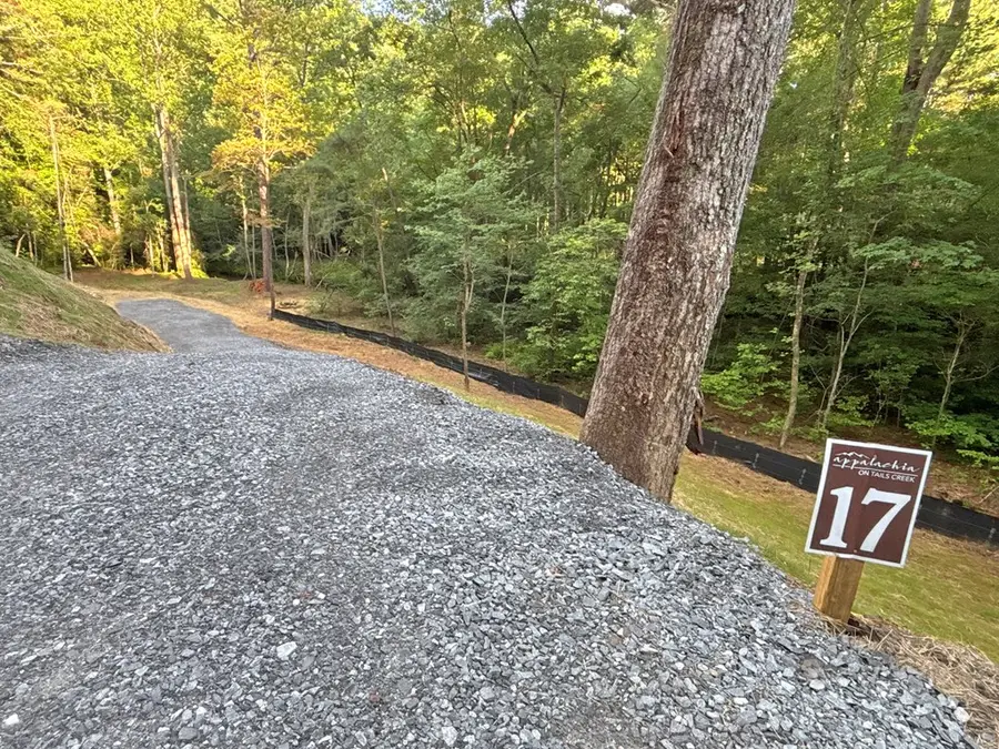 1720 Mt. Springer Road, Ellijay, GA 30540 - #3
