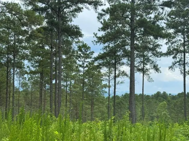 Lot 88 Springfield Parkway, Ellijay, GA 30540 - #1