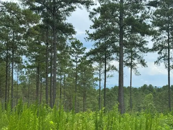 Lot 88 Springfield Parkway, Ellijay, GA 30540