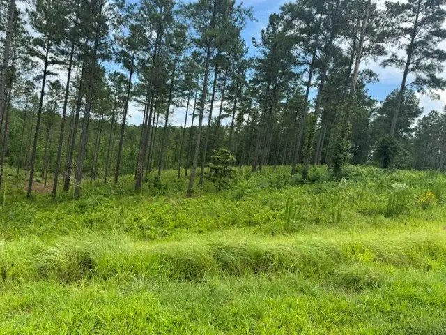 Lot 88 Springfield Parkway, Ellijay, GA 30540 - #3