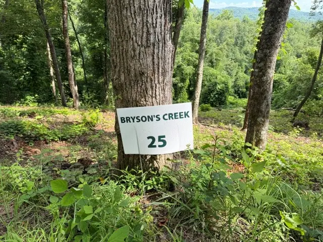 Lot 25 Bryson Creek, Murphy, NC 28906 - #2