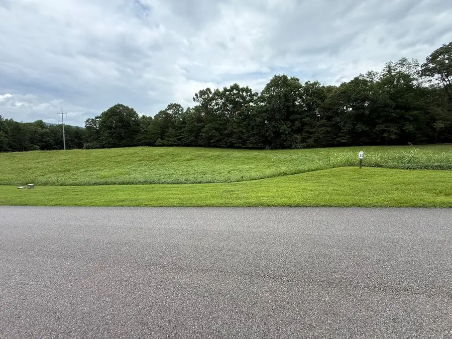 LOT 30 The Grove @ Highland, Blairsville, GA 30512 - #3