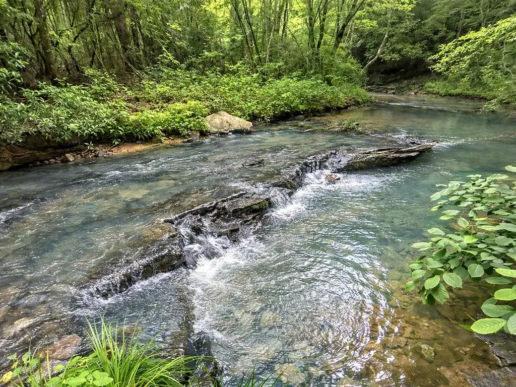 10AC Lovejoy Lane, Talking Rock, GA 30175 - #1