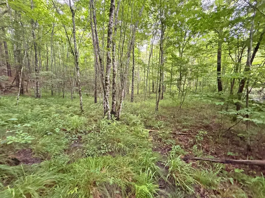 10AC Yonder Way, Talking Rock, GA 30175 - #3