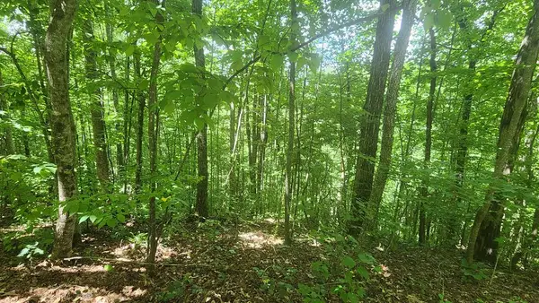 lot 15 Roaring Ridge, Hiawassee, GA 30546