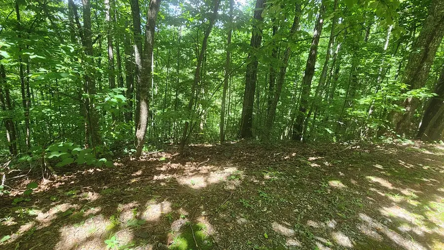 lot 15 Roaring Ridge, Hiawassee, GA 30546 - #2