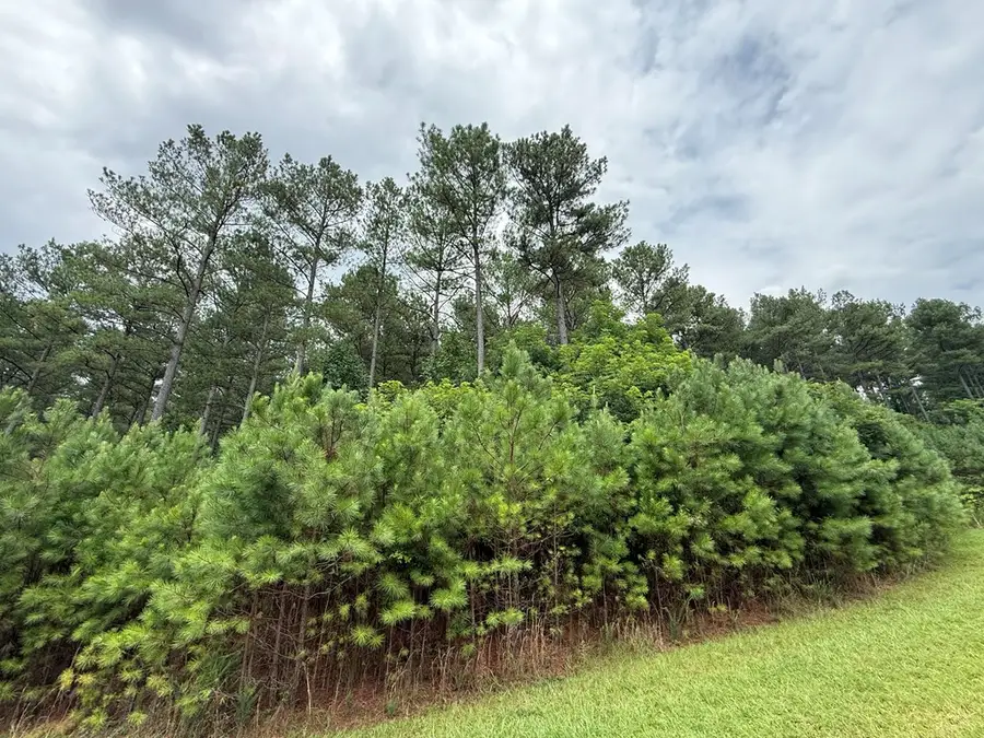 LOT 174 The Stables Loop, Blairsville, GA 30512 - #2