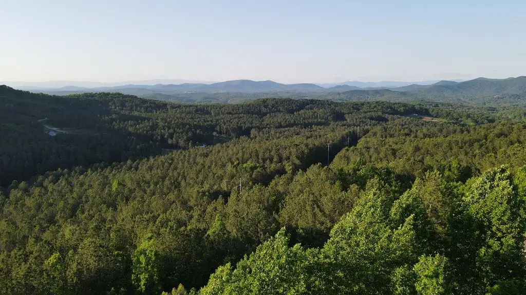 LOT 70 Ridge Peak View, Blairsville, GA 30512 - #1