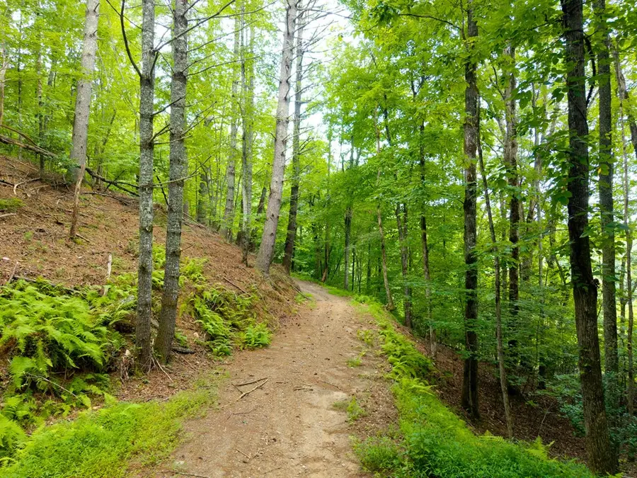0 Smith Hollow Drive, Murphy, NC 28906 - #3