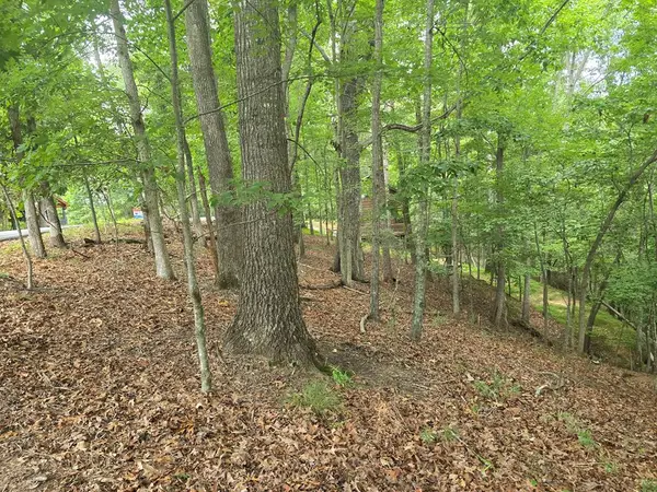 Lot 476 Riverview Drive, Ellijay, GA 30540