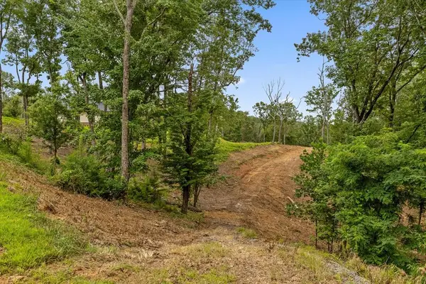 Lot 9 High Summit Drive, Talking Rock, GA 30175