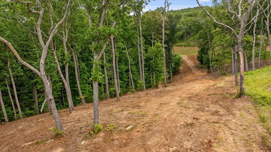Lot 9 High Summit Drive, Talking Rock, GA 30175 - #2