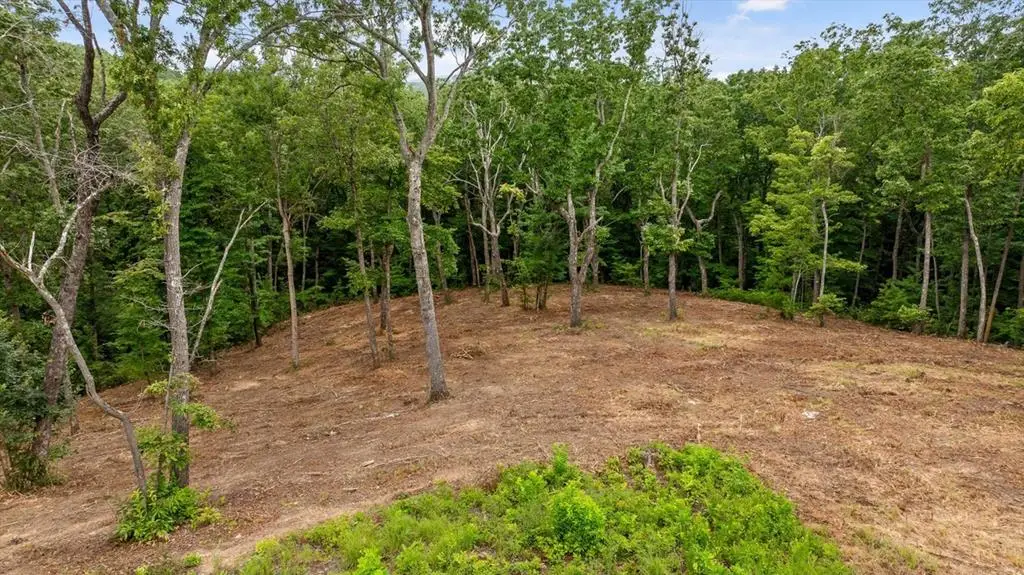 Lot 92 Timberline Trail, Talking Rock, GA 30175 - #1