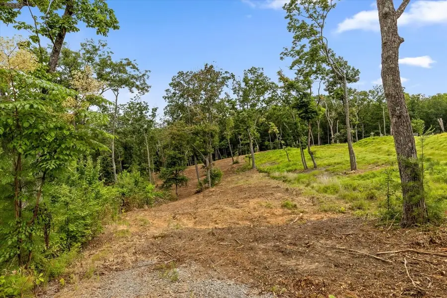 Lot 92 Timberline Trail, Talking Rock, GA 30175 - #3