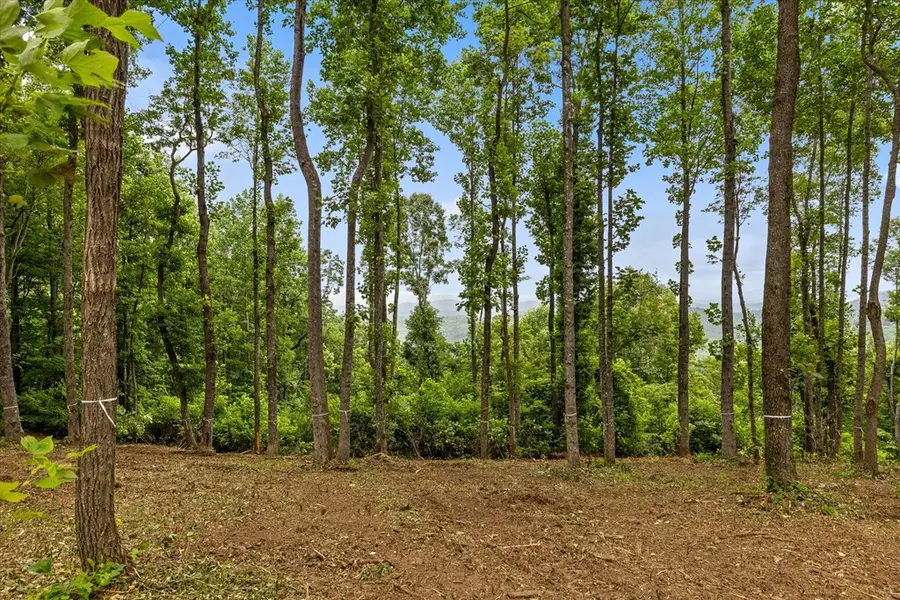 Lot 374 N Mountain Ridge Road, Talking Rock, GA 30175 - #3