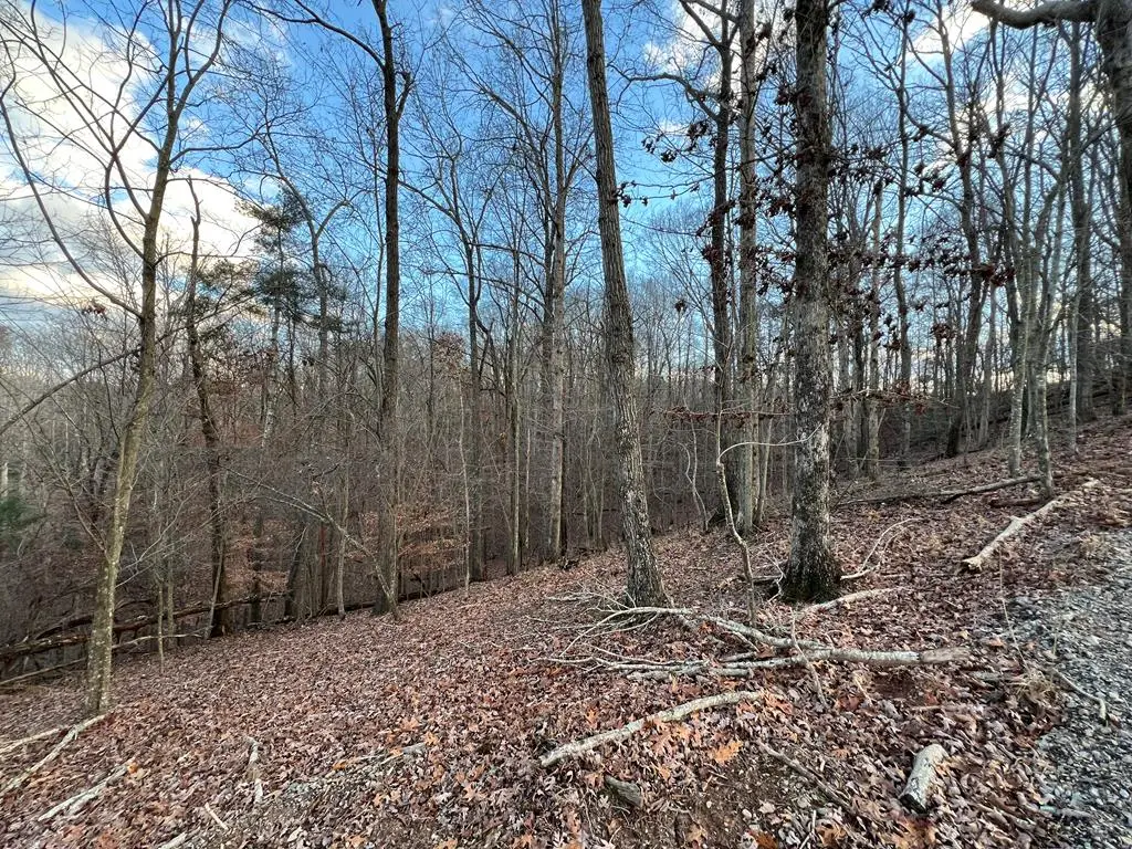 Lot 403 Crown Court, Ellijay, GA 30540 - #1