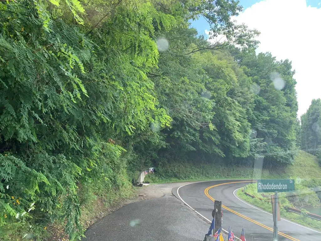 27 Lot Laurel Lane, Nantahala, NC 28781 - #1
