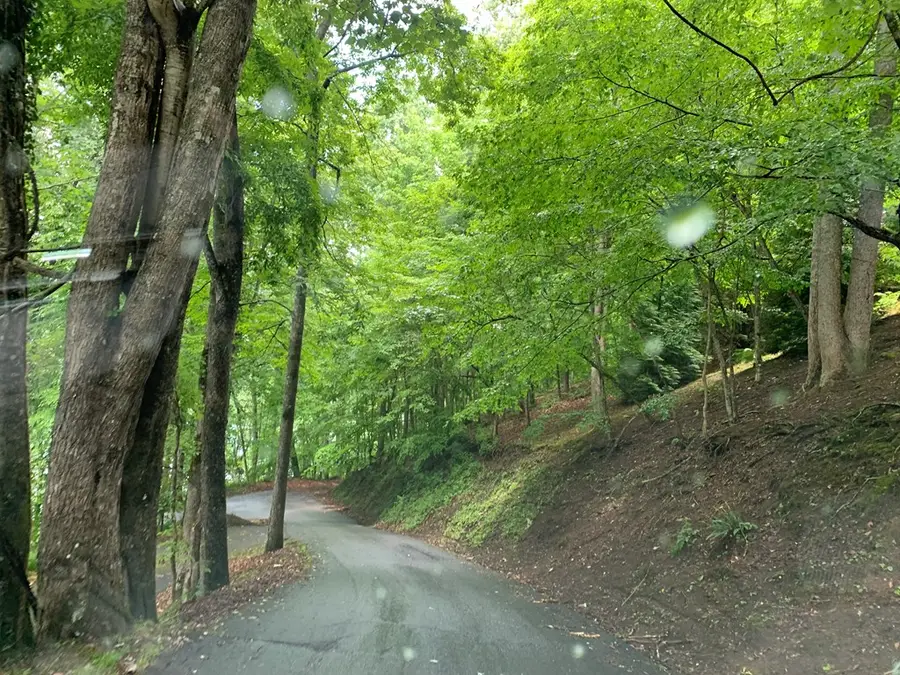 27 Lot Laurel Lane, Nantahala, NC 28781 - #2