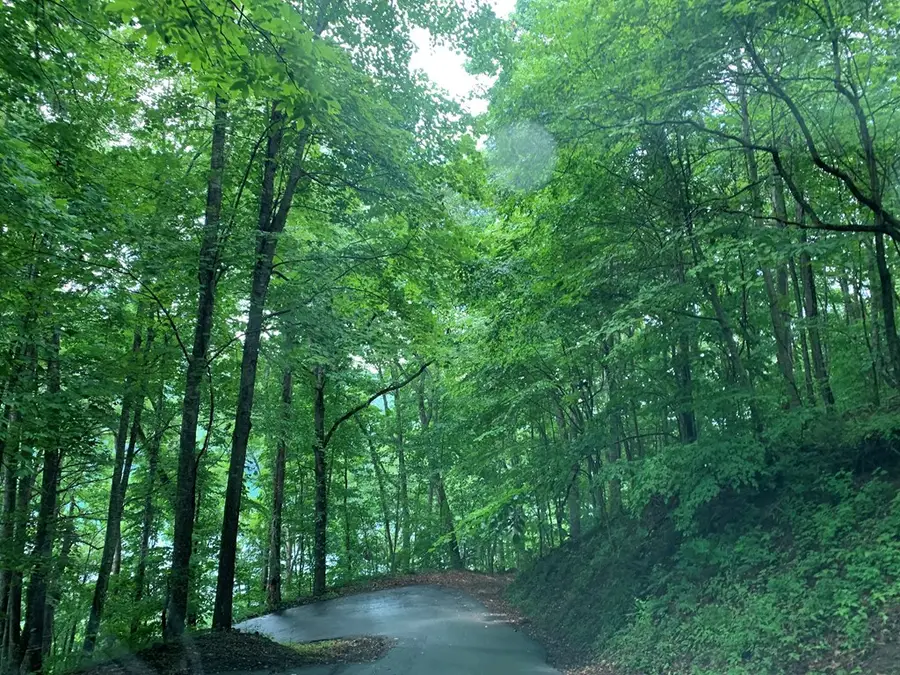 27 Lot Laurel Lane, Nantahala, NC 28781 - #3