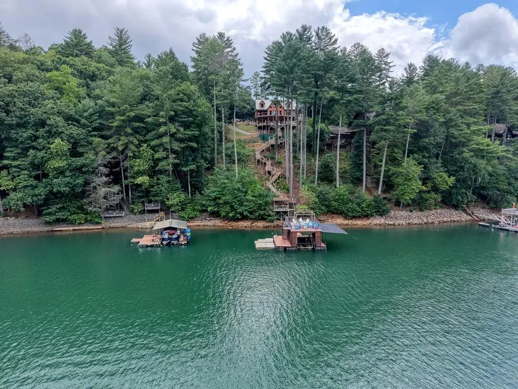 514 Browns Cove Road, Blue Ridge, GA 30513 - #1