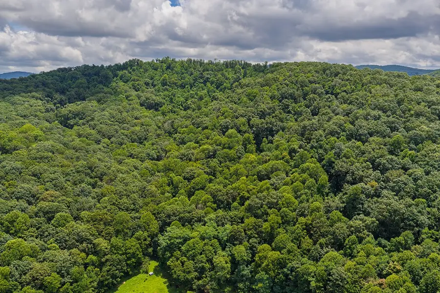 0 Homer Wright Road, Talking Rock, GA 30175 - #2