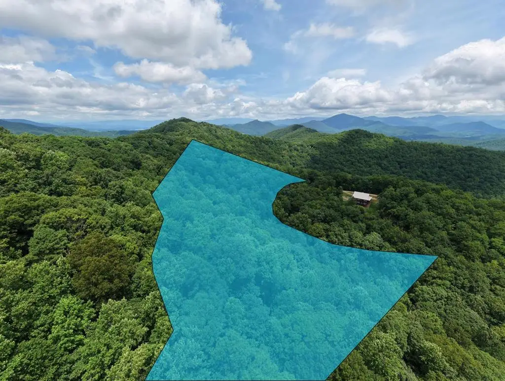 34 AC Caesar Gap Road, Hiawassee, GA 30546 - #1