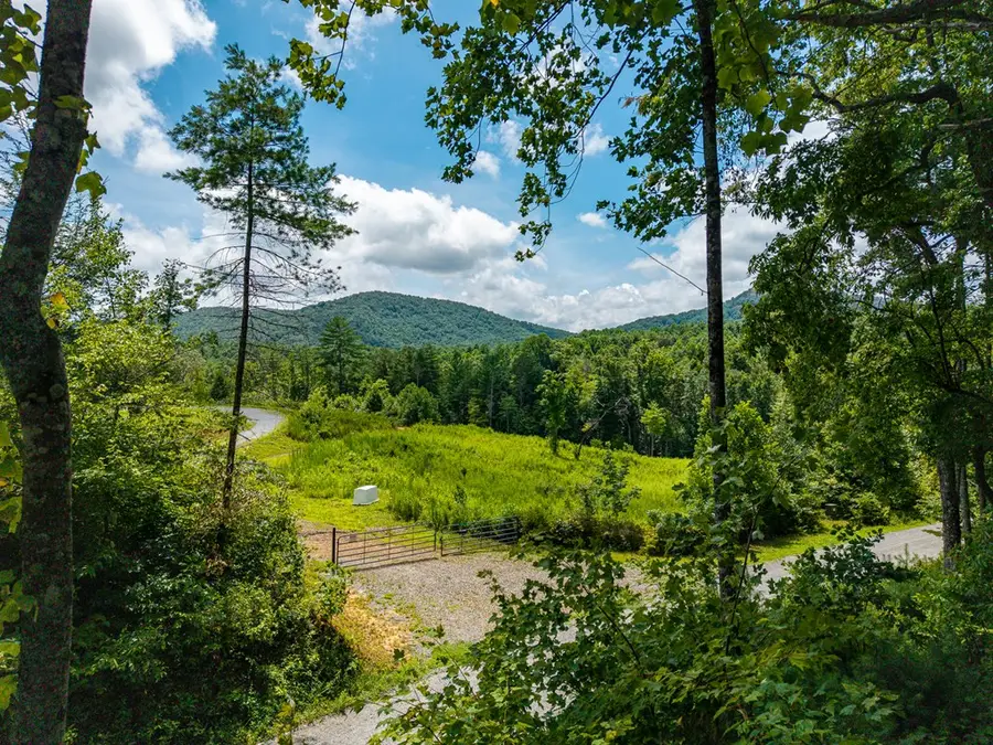 2.31Acre Higdon Creek Road, Blue Ridge, GA 30513 - #3