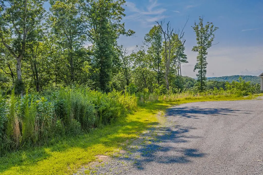 lot 84 High Summit Drive, Ellijay, GA 30540 - #1