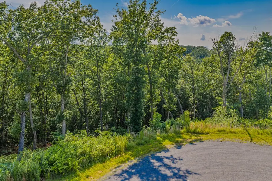 lot 84 High Summit Drive, Ellijay, GA 30540 - #3
