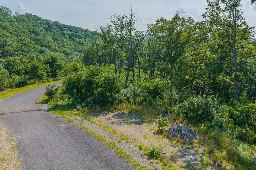 Lot 93 Timberline Trail, Ellijay, GA 30540 - #2