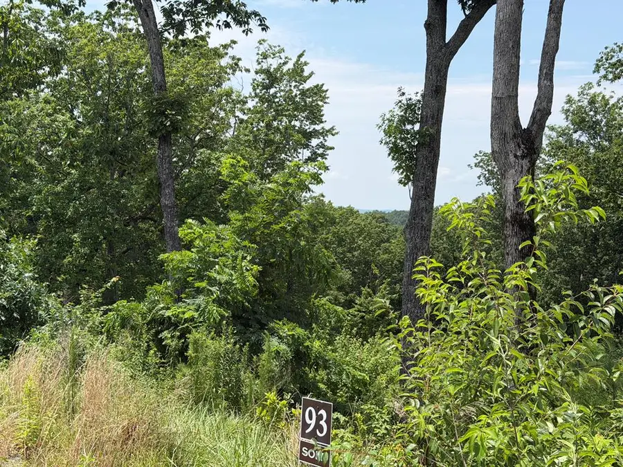 Lot 93 Timberline Trail, Ellijay, GA 30540 - #3