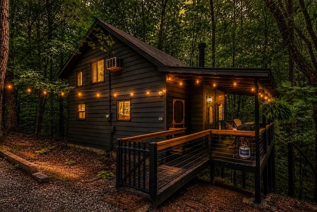 25 Nickwasi Way, Blue Ridge, GA 30513 - #1