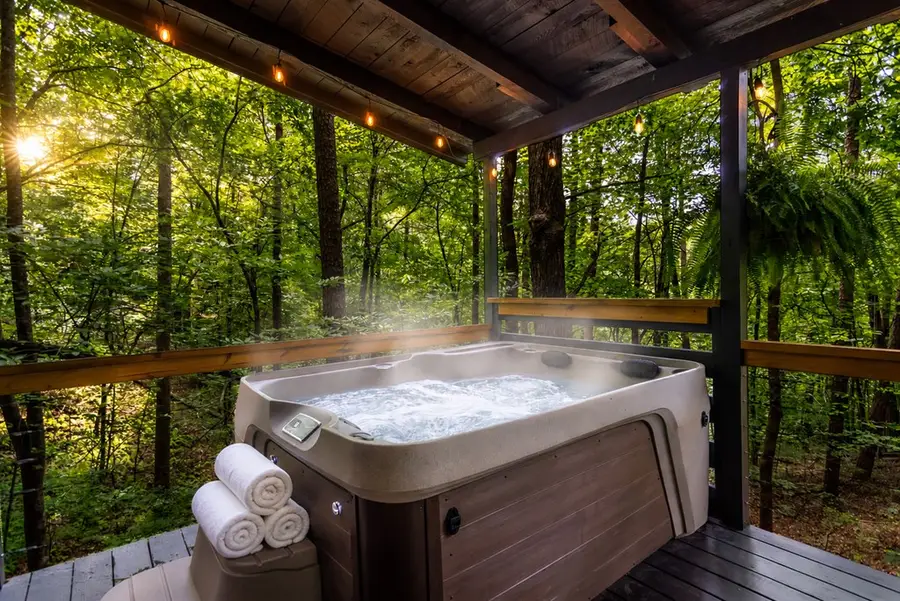 25 Nickwasi Way, Blue Ridge, GA 30513 - #3