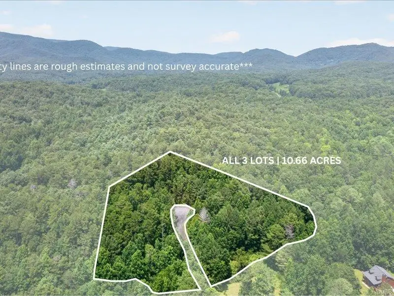 10.66 AC East Ridge Lane, Ellijay, GA 30536 - #1
