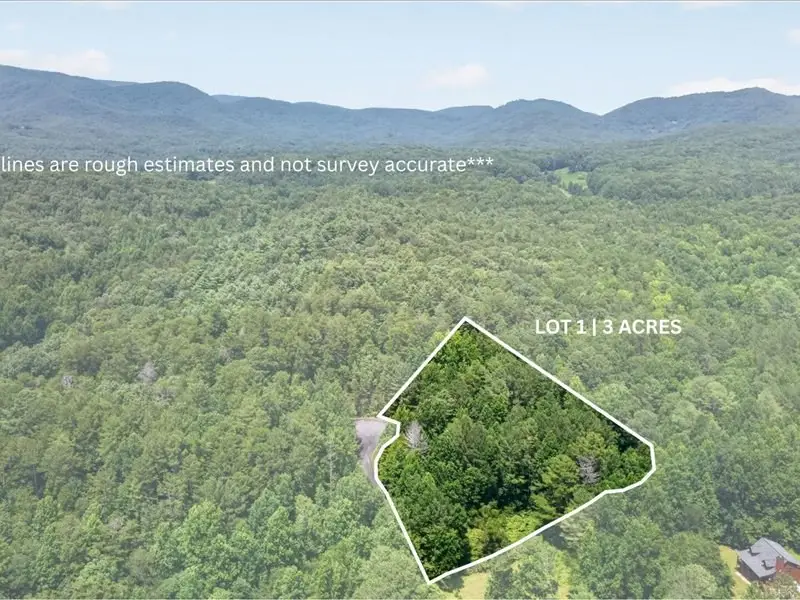 10.66 AC East Ridge Lane, Ellijay, GA 30536 - #2