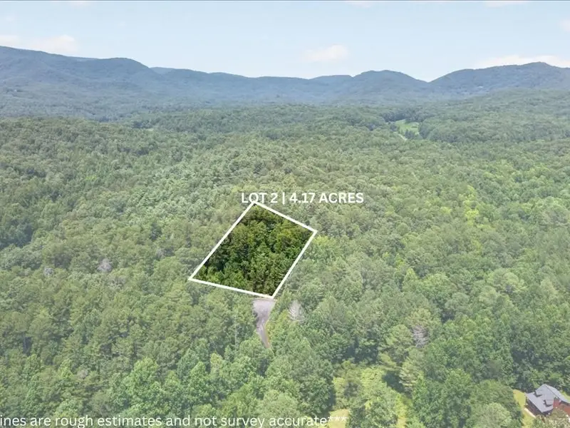 10.66 AC East Ridge Lane, Ellijay, GA 30536 - #3
