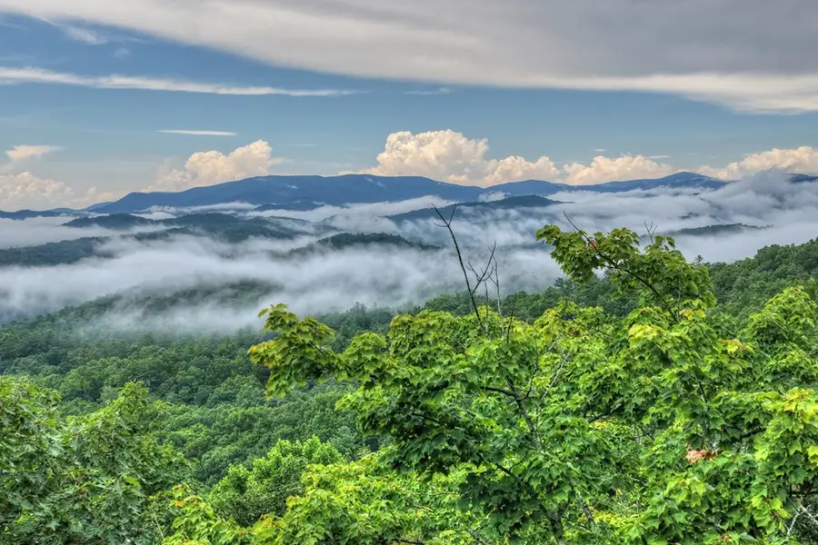 1138 Douglas Mountain Trail, Ellijay, GA 30540 - #2