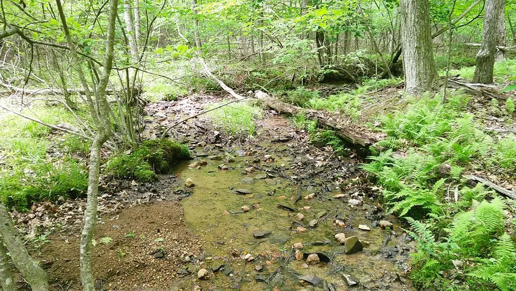 00 Tracks Hollow, Murphy, NC 28906 - #1