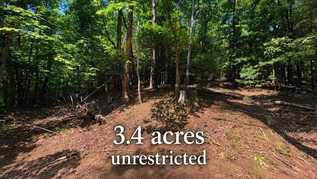 3.4 acre Peach Lane, Ellijay, GA 30536 - #1