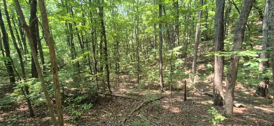3.4 acre Peach Lane, Ellijay, GA 30536 - #2