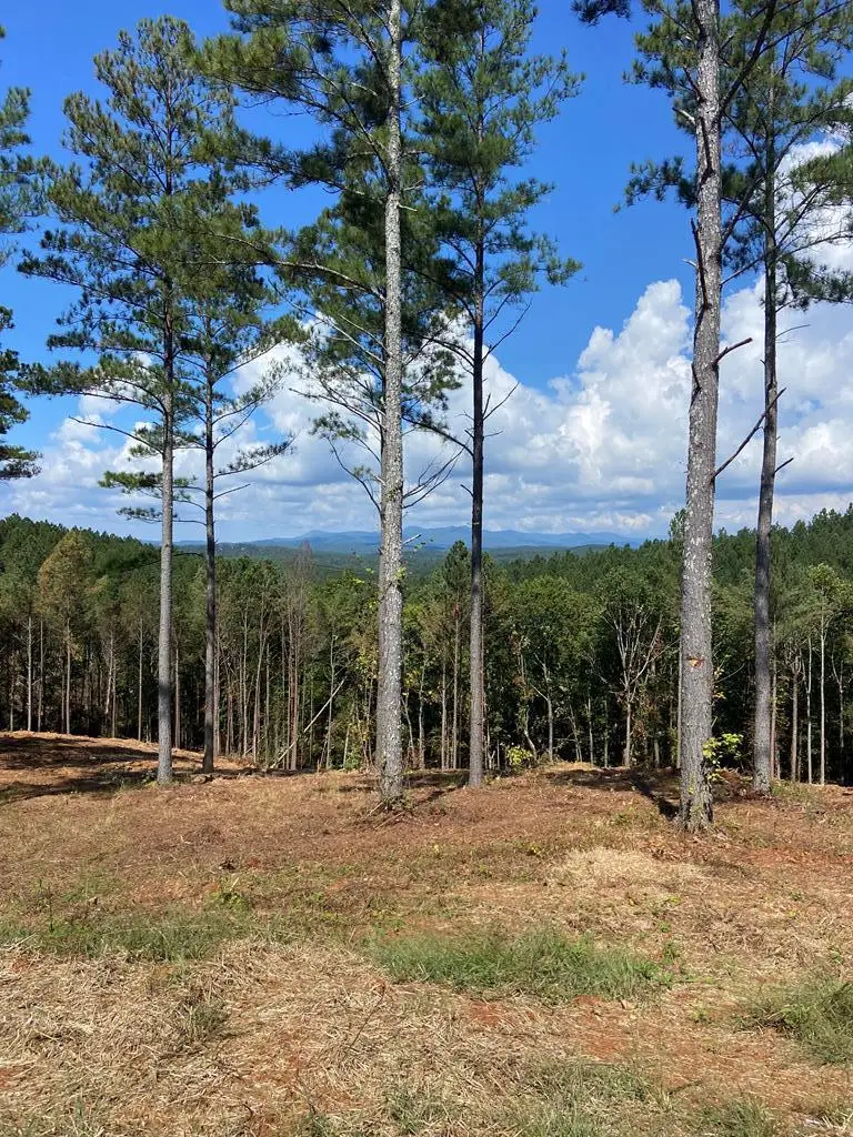 Lot 63 Lacey Springs Lane, Ellijay, GA 30143 - #1