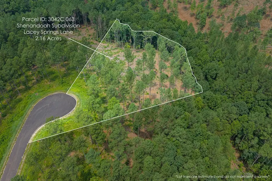 Lot 63 Lacey Springs Lane, Ellijay, GA 30143 - #3