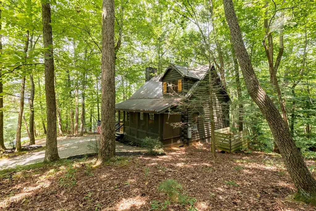 681 Skyview Drive, Ellijay, GA 30536 - #1