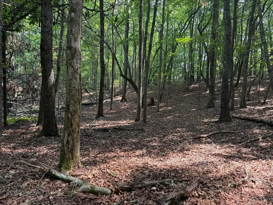 8 Mystic Ridge, Blairsville, GA 30512 - #2