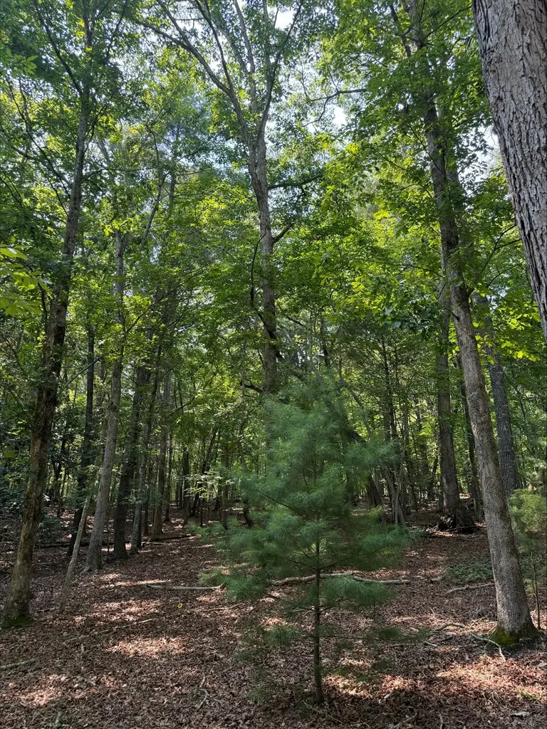 Address Withheld By Seller, Blairsville, GA 30512 - #2
