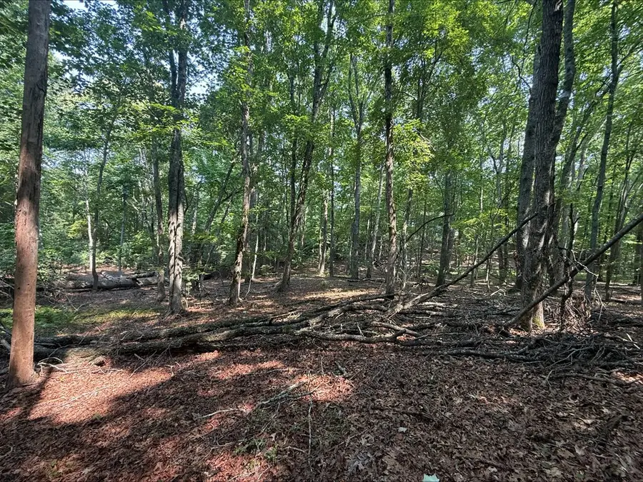 Address Withheld By Seller, Blairsville, GA 30512 - #3